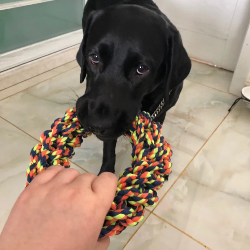 Rope Chew Toy