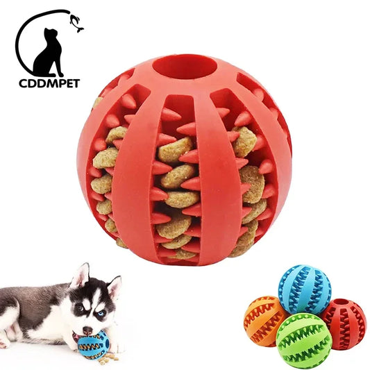 Rubber Food Ball