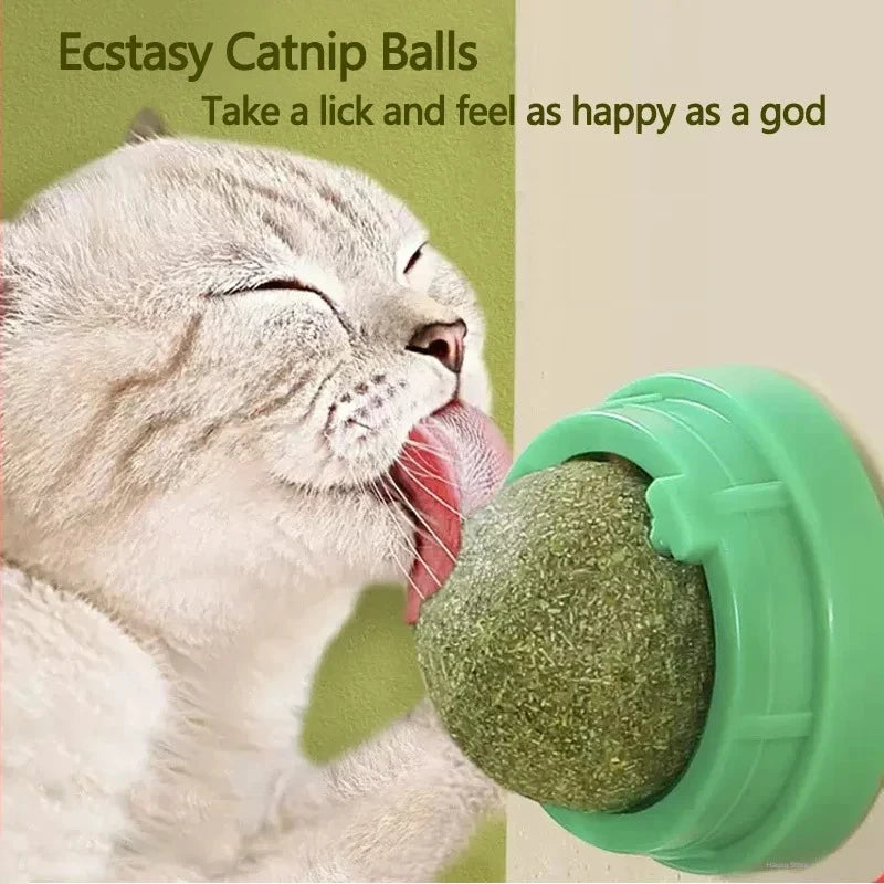 Catnip Toy