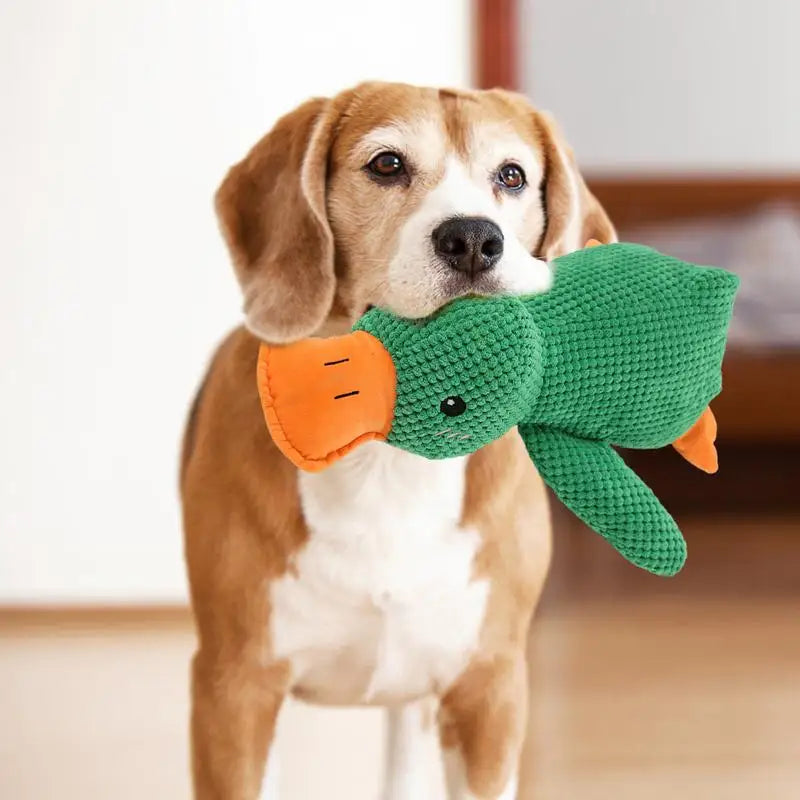 Squeaking Duck Dog Toy