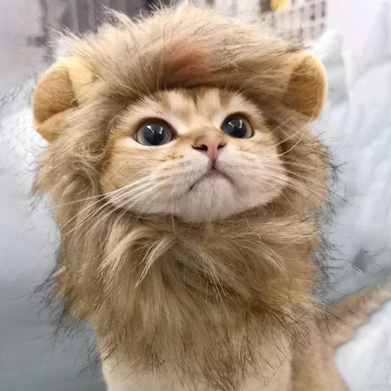 Pet Lion Costume