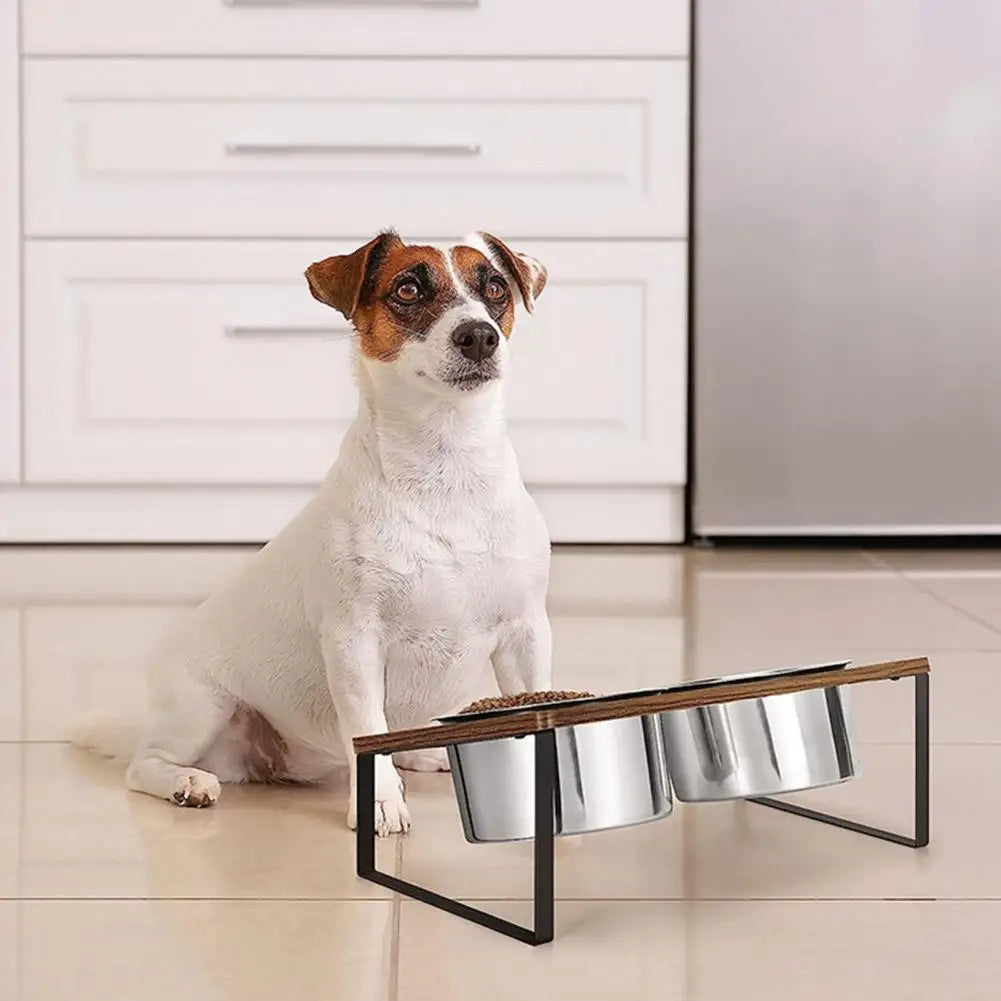 Elevated Dog Bowls