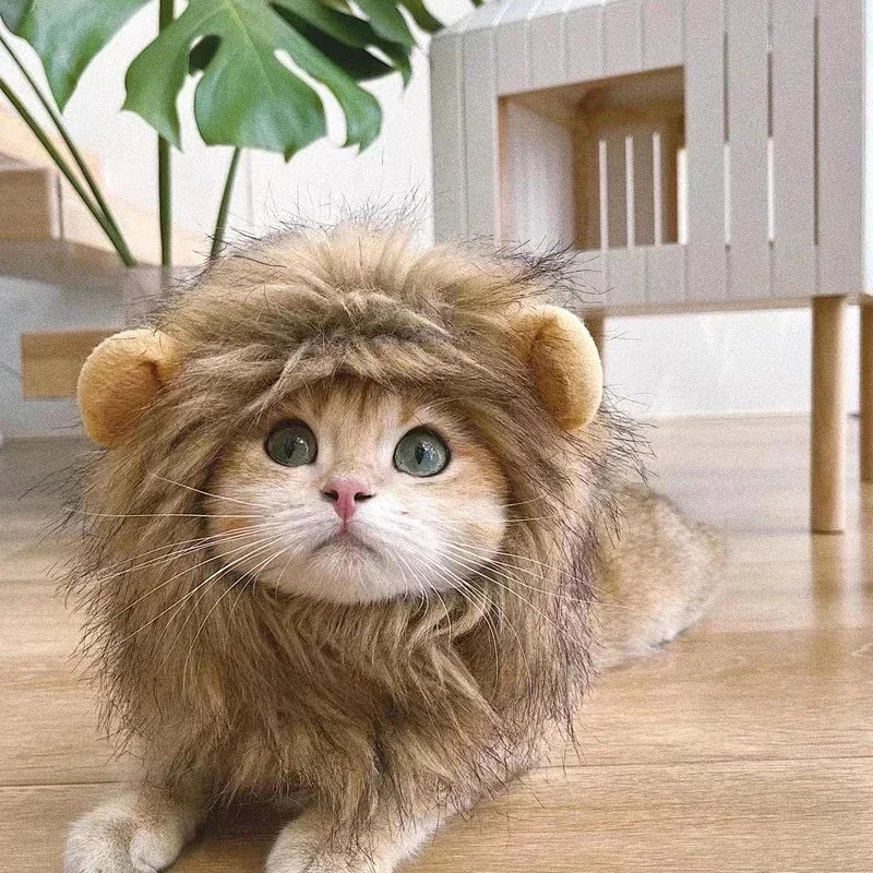 Pet Lion Costume