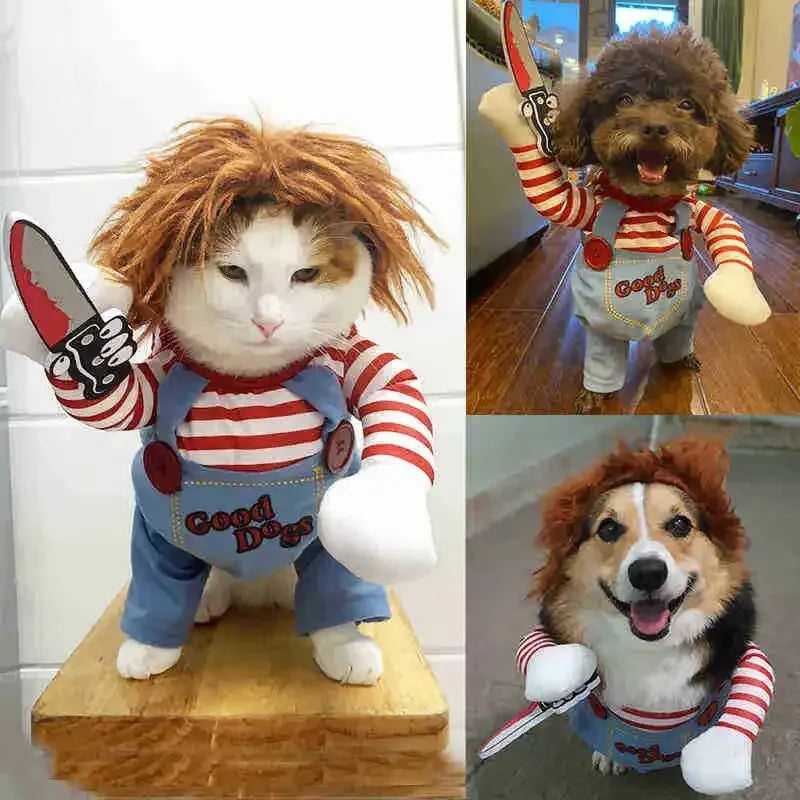 Pet Knife Holding Costume