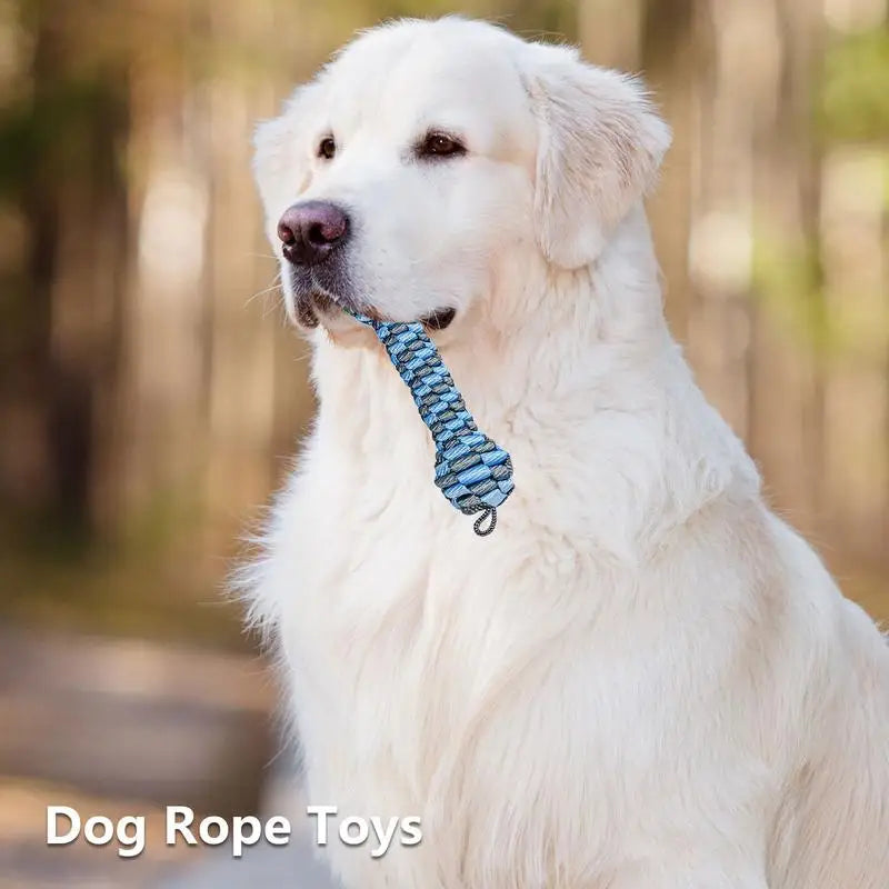 Braided Puppy Chew