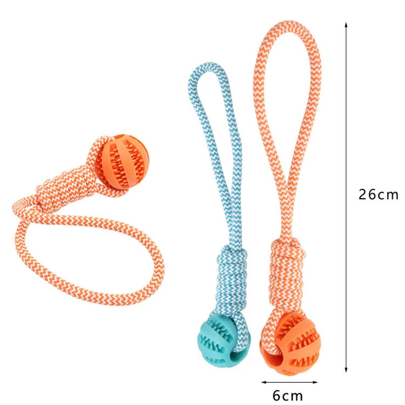 Treat Balls with Rope