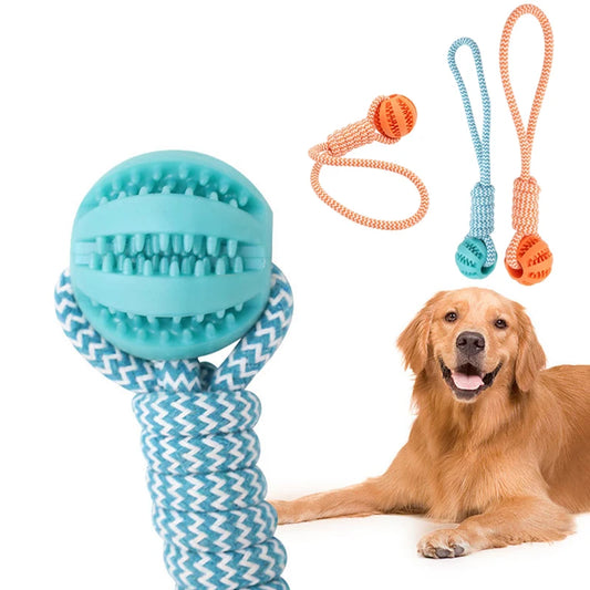 Treat Balls with Rope