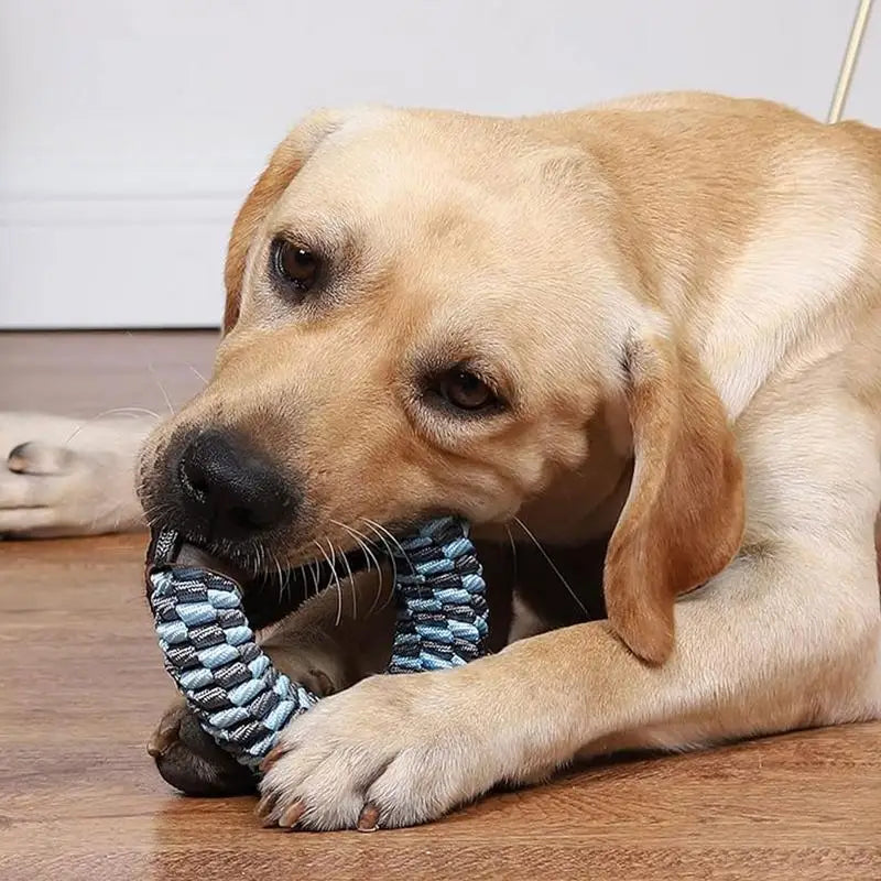 Braided Puppy Chew