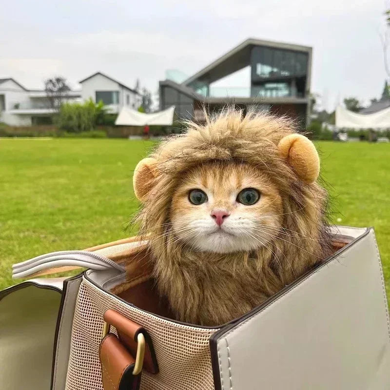 Pet Lion Costume