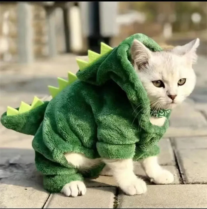 Pet Dinosaur Costume