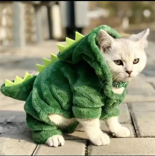 Pet Dinosaur Costume