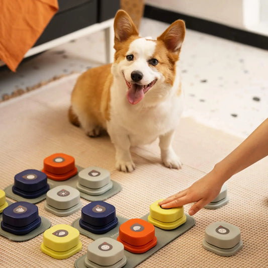 Interactive Dog Talking Buttons with Mat