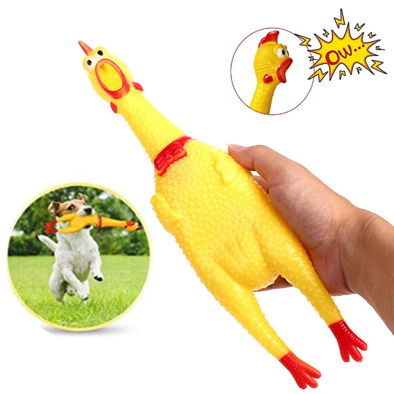 Squeaky Chicken