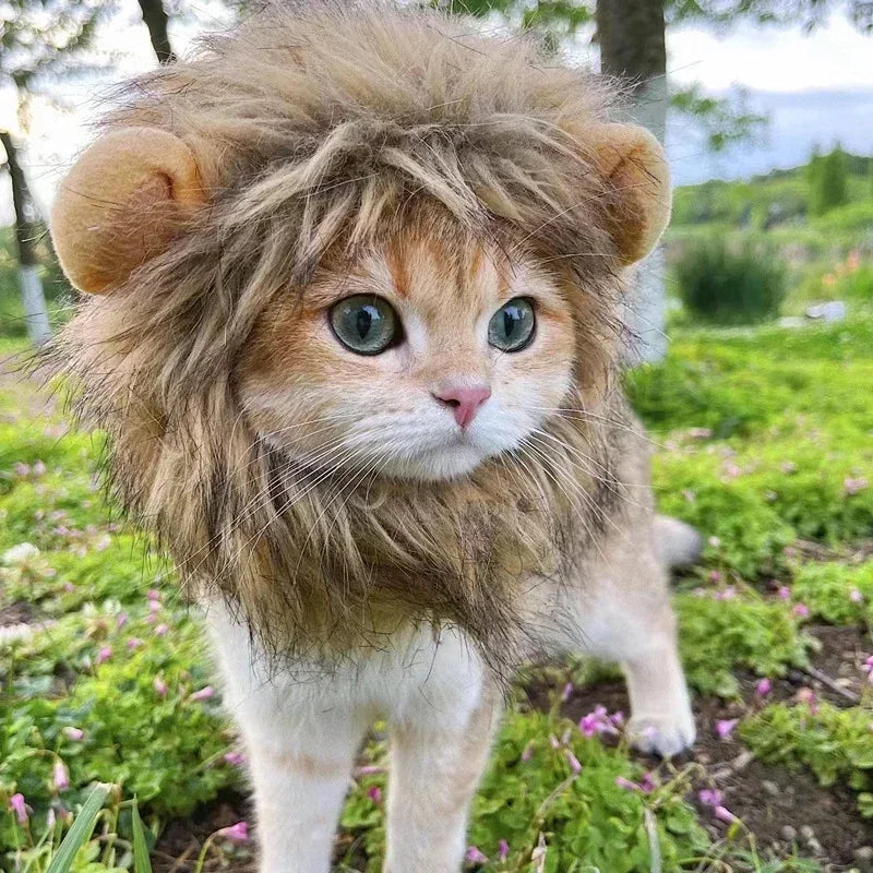 Pet Lion Costume