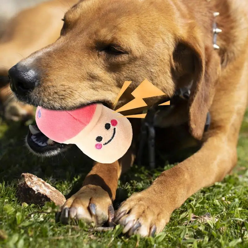 Pumpkin Plush Toy