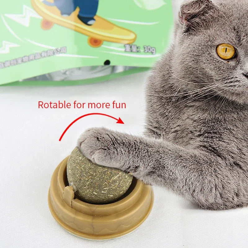 Catnip Toy